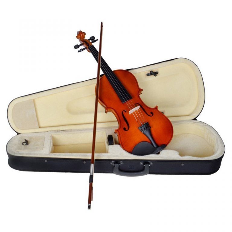 Violin Standard Acoustic MuzikOne