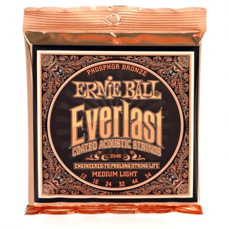 Ernie-Ball-Everlast