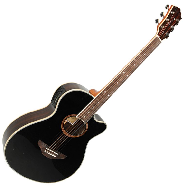 Semi Acoustic Guitars MuzikOne