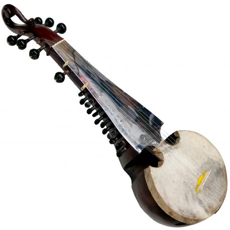 Sarod-Instrument