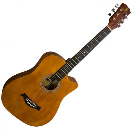 Swift-Horse-38M-Acoustic-Guitar