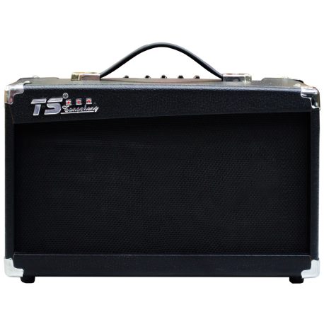 Tangsheng-40-Watts-Guitar-Amplifier-Dual-Input