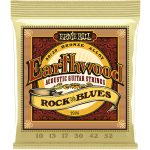 Ernie Ball 2008 Earthwood 80/20 Bronze Rock and Blues